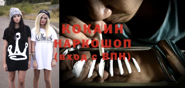 шишки Беломорск