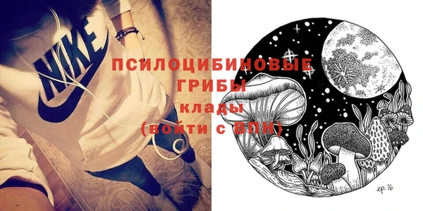 шишки Беломорск