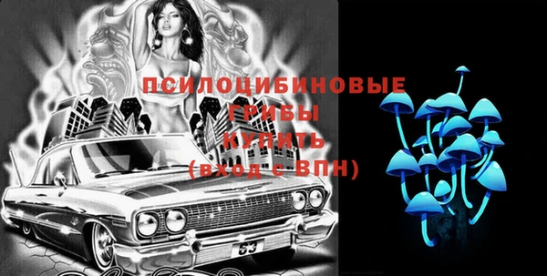 шишки Беломорск
