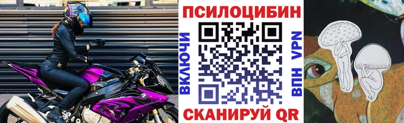 Галлюциногенные грибы Psilocybe  Бузулук 