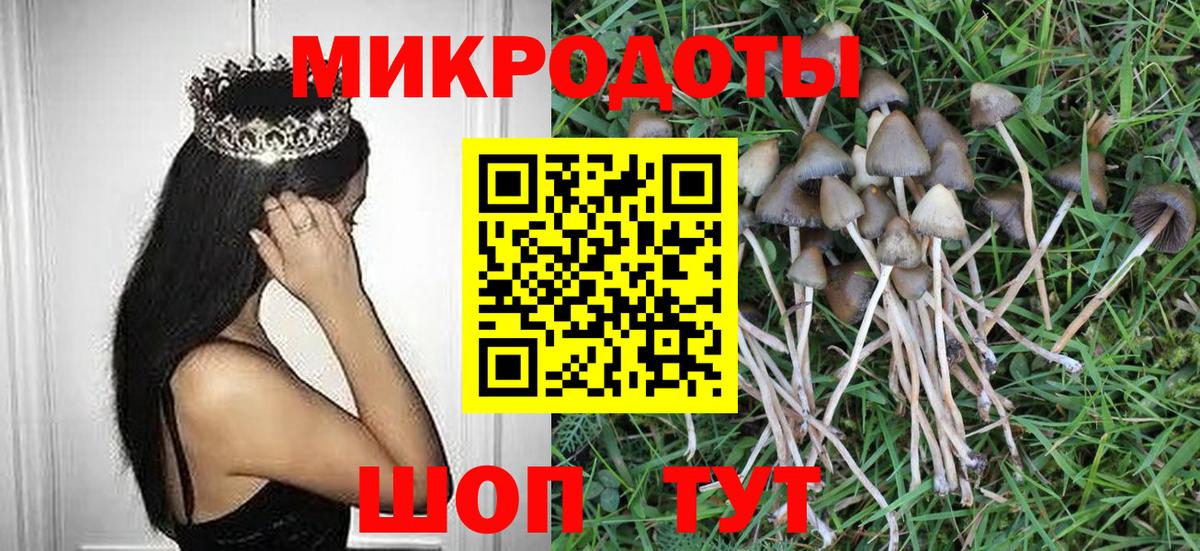 Галлюциногенные грибы прущие грибы Бузулук