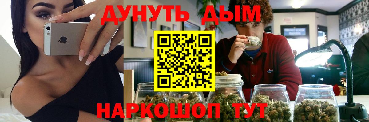 Каннабис план Бузулук